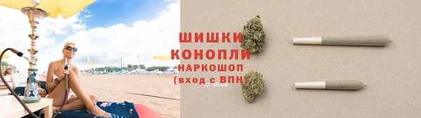 ГАЛЛЮЦИНОГЕННЫЕ ГРИБЫ Остров