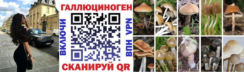 Галлюциногенные грибы Cubensis  Краснослободск 